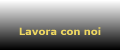 Lavora con noi