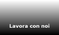 Lavora con noi